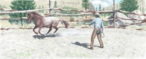 Jim-Browne-training-a-horse